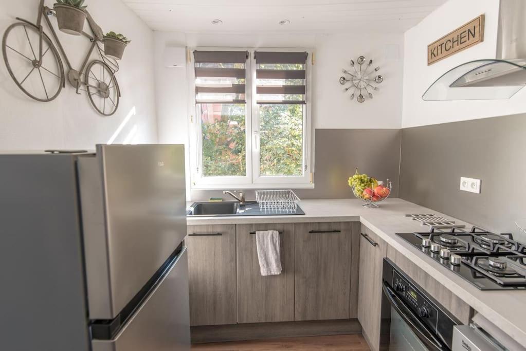 Apartament New L'Industr'Ill Au Coeur De L'Alsace Sélestat Zewnętrze zdjęcie