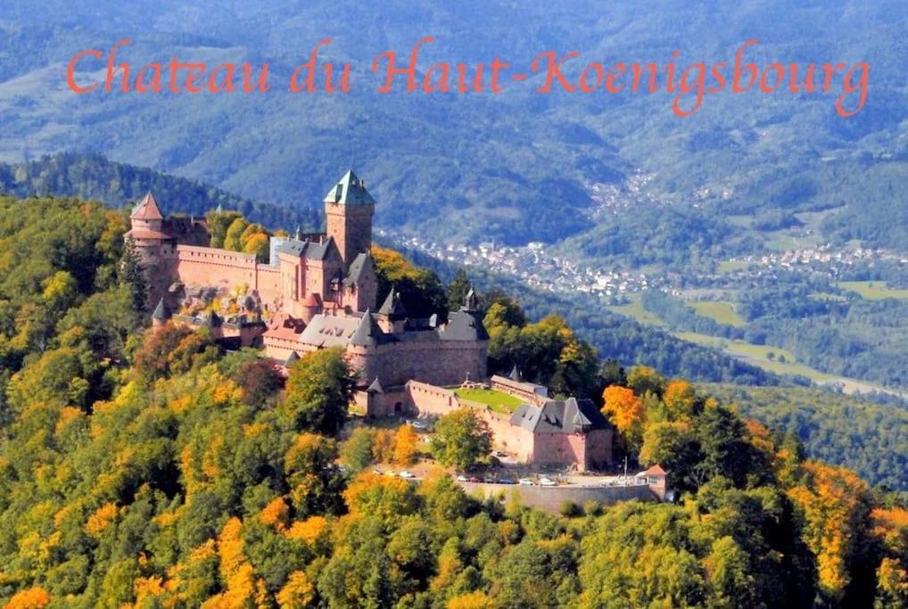 Apartament New L'Industr'Ill Au Coeur De L'Alsace Sélestat Zewnętrze zdjęcie